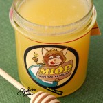 Słodkie Skarby Warmii odkryte!